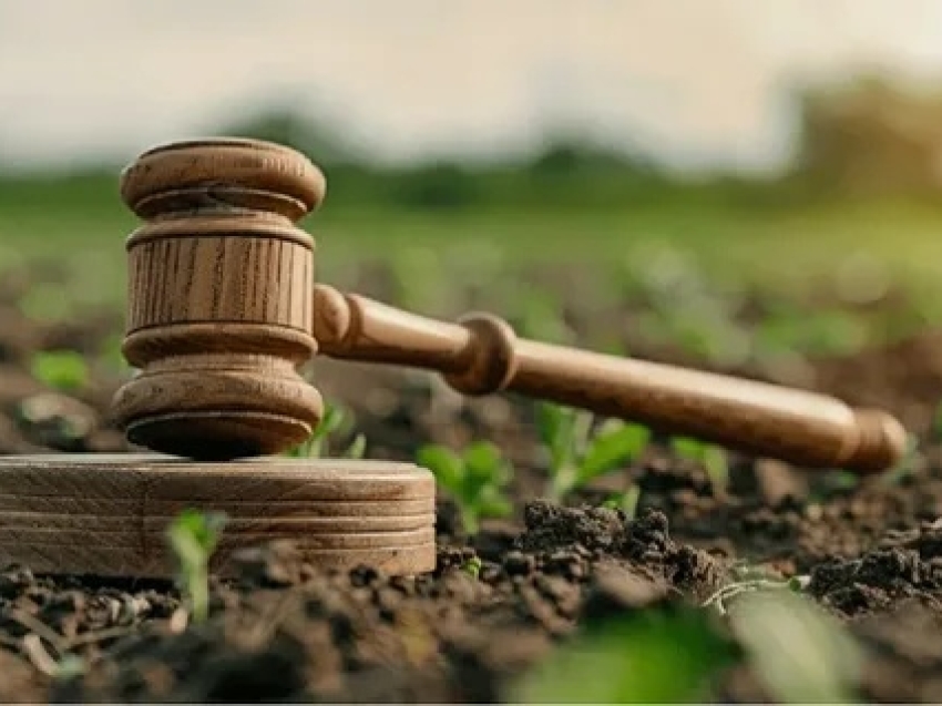 Департамент государственного имущества сообщает о продаже на аукционе нежилого здания с земельным участком по адресу: Шилкинский район, пгт Первомайский, ул. Зеленая, д. 1